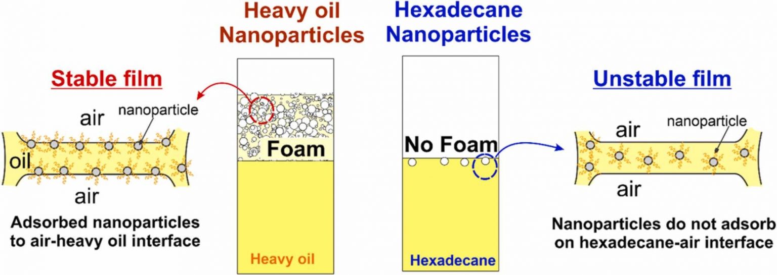 Foamability and foam stability of oily mixtures – LCPE