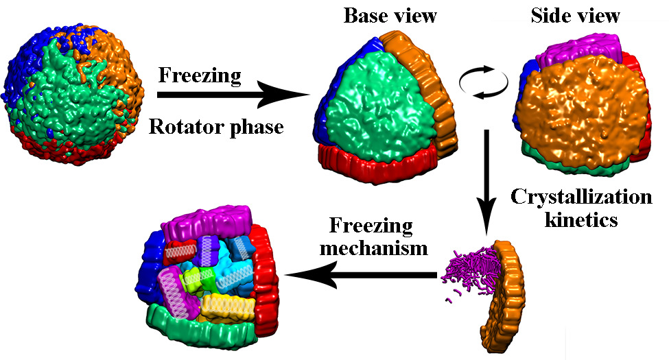 Graphical abstract for molecular dynamics study of hexadecane droplets